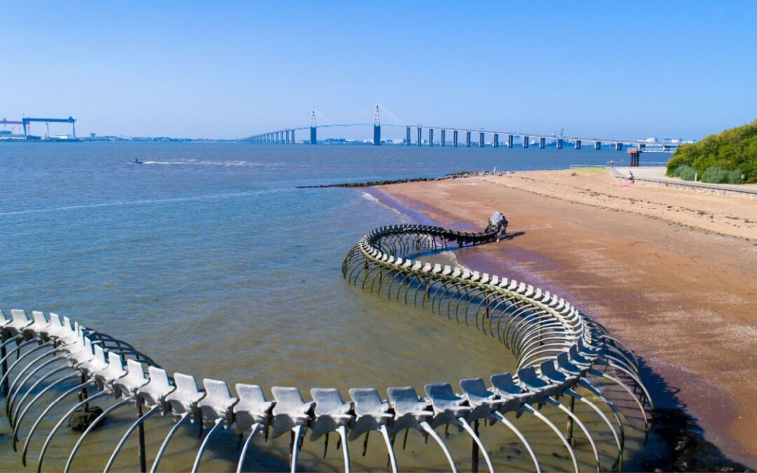 This Giant Twisting Serpent Skeleton Emerging From The Sea Is France’s Most Unique Sculpture